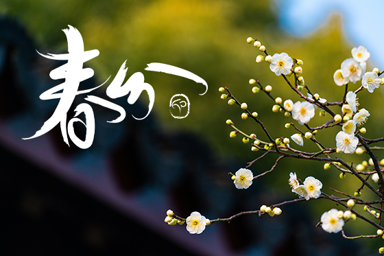 高功率板材光纖激光切割機 高功率板材光纖激光切割機