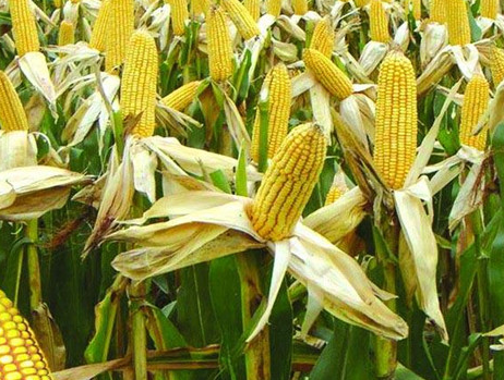 山東手持金屬激光焊接機廠家 山東手持金屬激光焊接機廠家