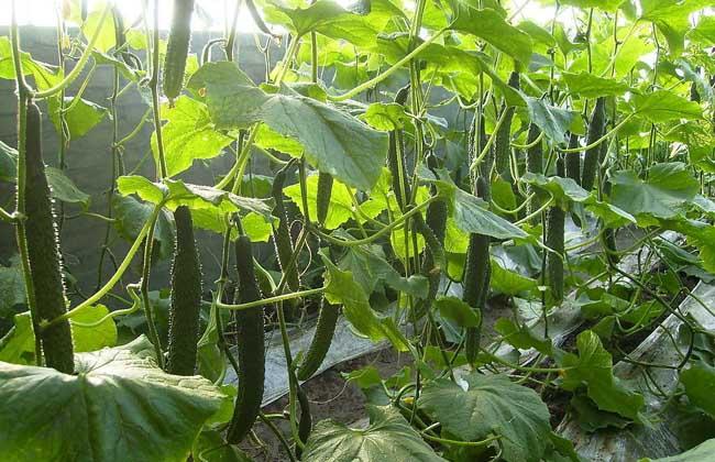 12000W高功率光纖激光切割機廠家.jpg 12000W高功率光纖激光切割機廠家.jpg